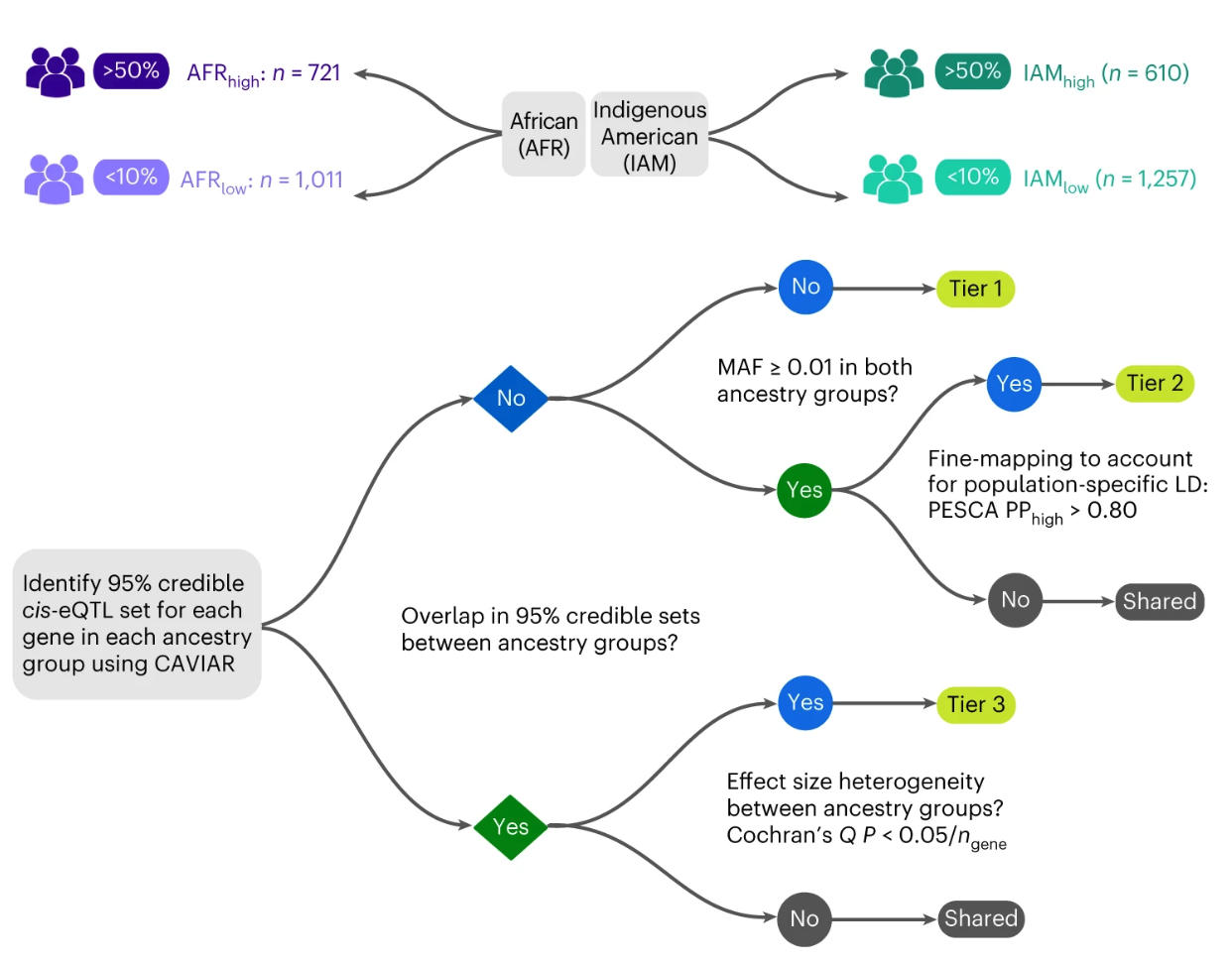 Gene expression in African Americans, Puerto Ricans and Mexican Americans reveals ancestry-specific patterns of genetic architecture