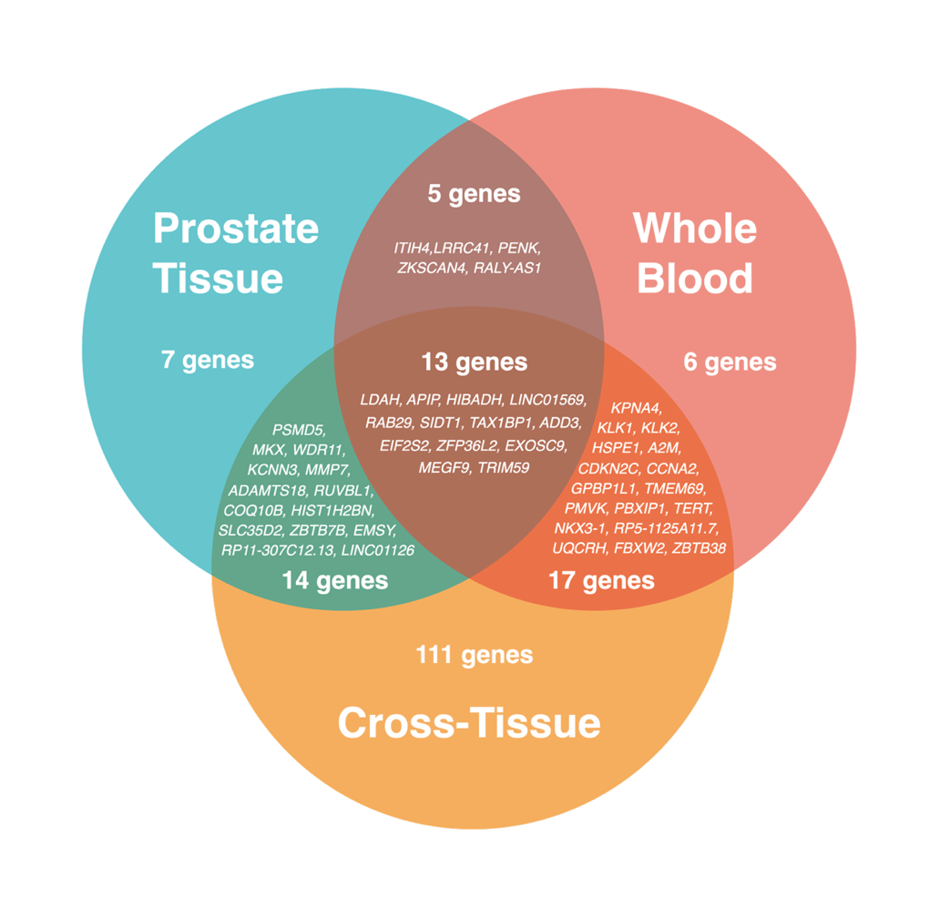 Transcriptome-Wide Association Analysis Identifies Novel Candidate Susceptibility Genes for Prostate-Specific Antigen Levels in Men Without Prostate Cancer